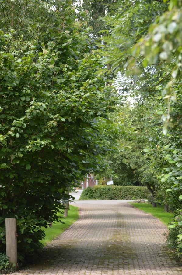 NijeveenBij Ons Op 20住宿加早餐旅馆 外观 照片